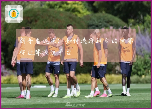 新手看过来：如何选择适合的世界杯让球投注平台