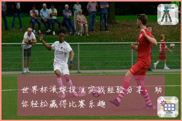 世界杯滚球投注实战经验分享，助你轻松赢得比赛乐趣