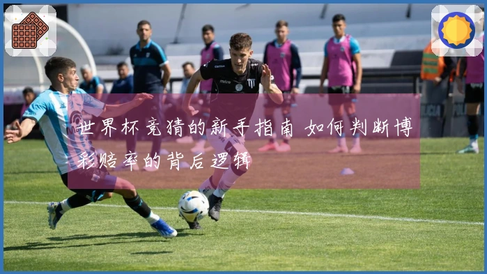世界杯竞猜的新手指南 如何判断博彩赔率的背后逻辑