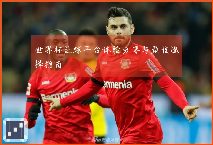 世界杯让球平台体验分享与最佳选择指南