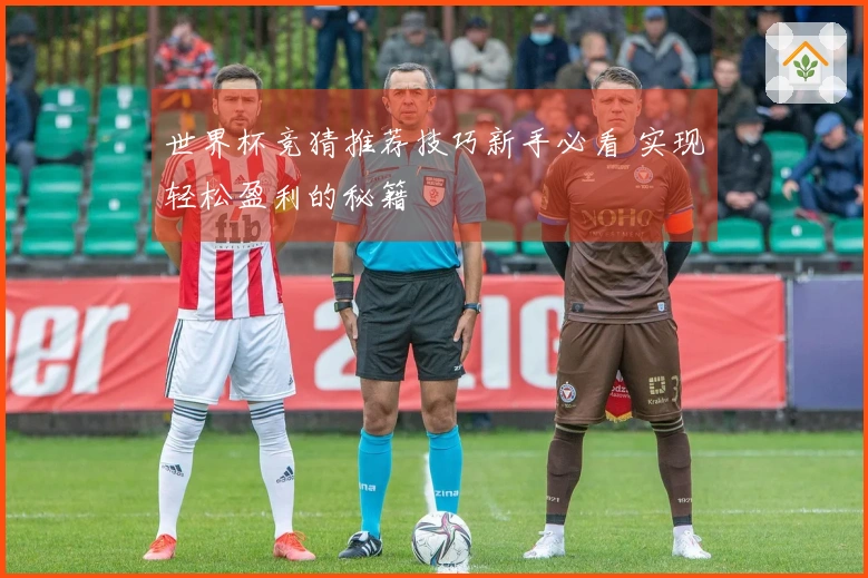 世界杯竞猜推荐技巧新手必看 实现轻松盈利的秘籍