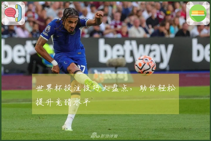 世界杯投注技巧大盘点，助你轻松提升竞猜水平