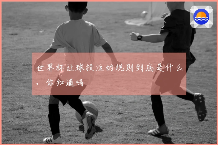 世界杯让球投注的规则到底是什么，你知道吗