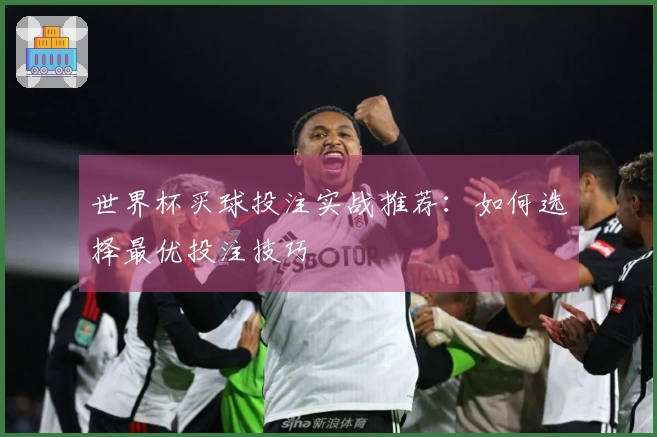 世界杯买球投注实战推荐：如何选择最优投注技巧